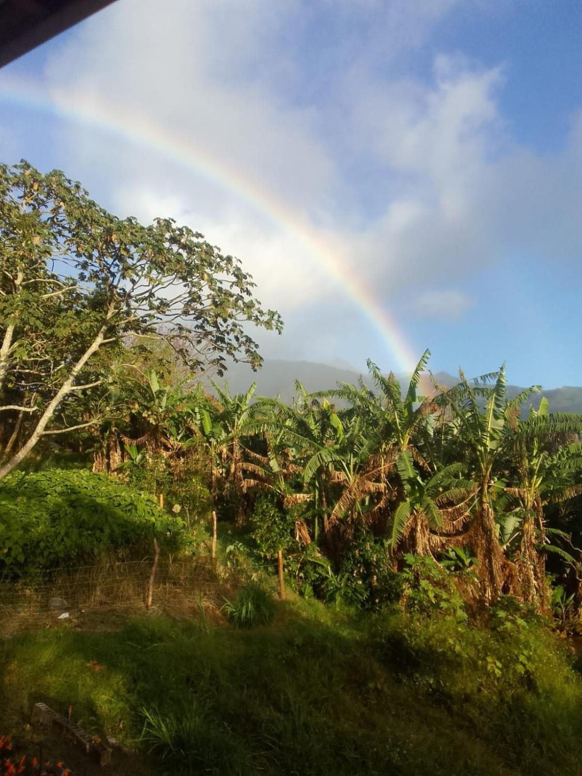 Hostel Agartha Mountain Retreat Boquete Exteriér fotografie